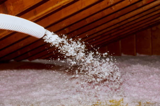 Best Energy Efficiency Insulation in Schoolcraft, MI
