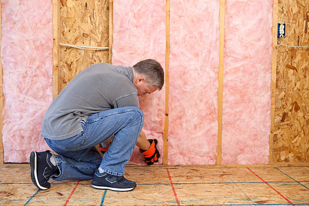 Best Geographic-Specific Insulation Services in Schoolcraft, MI