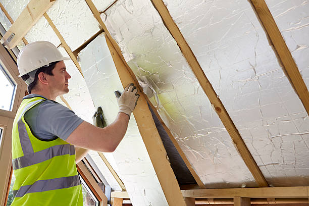 Types of Insulation We Offer in Schoolcraft, MI