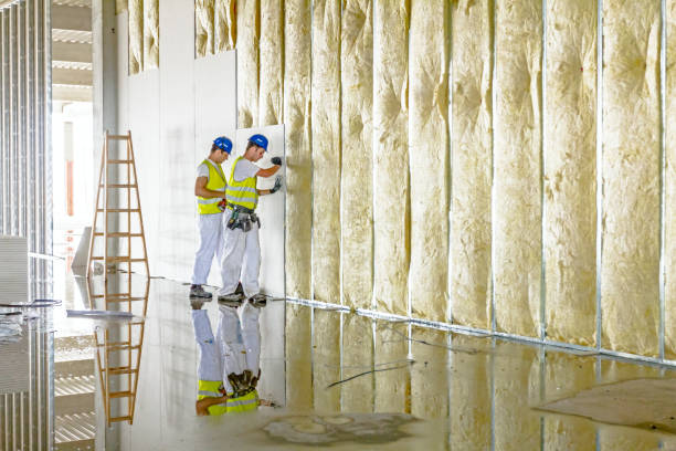 Best Cellulose Insulation in Schoolcraft, MI